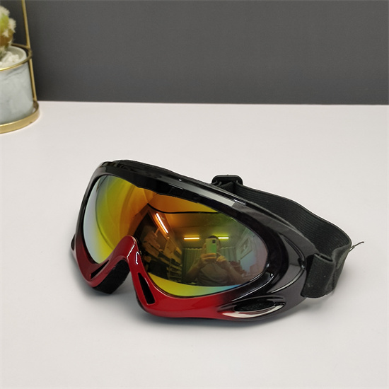 Oakley Ski Goggles 012